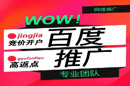 百度推广实战经验分享：案例精选
